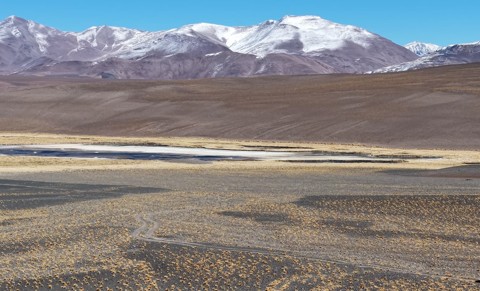 Cordillera de los Andes